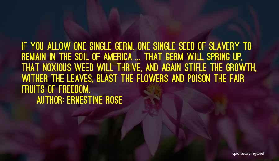 Noxious Weed Quotes By Ernestine Rose