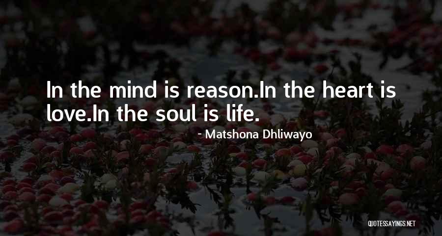 Noyer En Quotes By Matshona Dhliwayo Noyer En Quotes By Matshona Dhliwayo