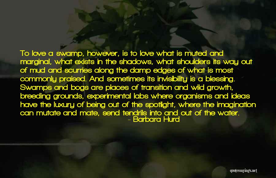 Noyous Quotes By Barbara Hurd Noyous Quotes By Barbara Hurd