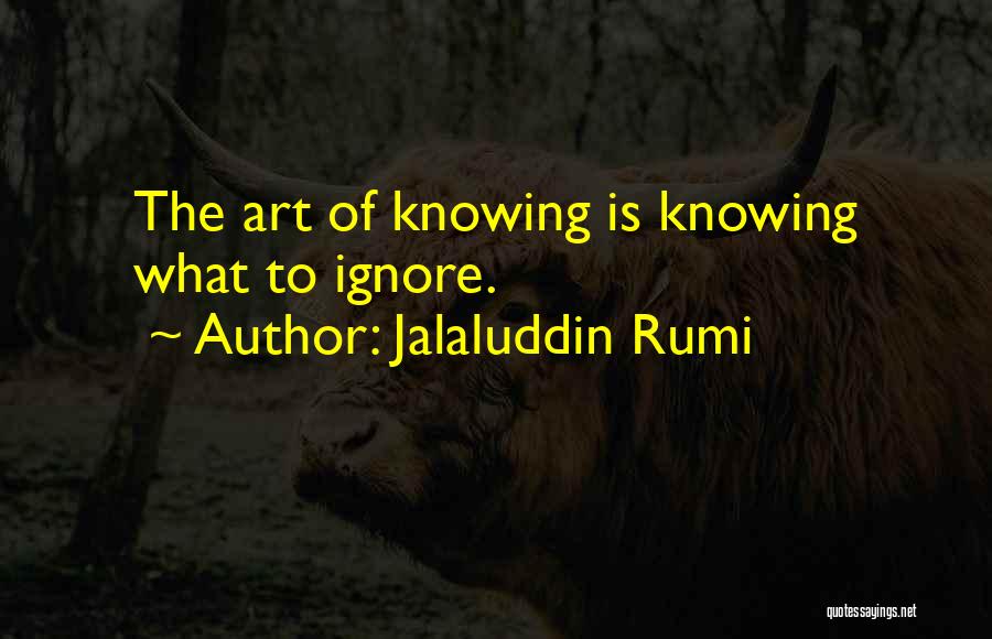 Nsuite Quotes By Jalaluddin Rumi