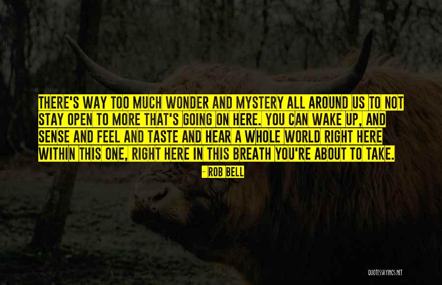 Nsukka Deities Quotes By Rob Bell Nsukka Deities Quotes By Rob Bell