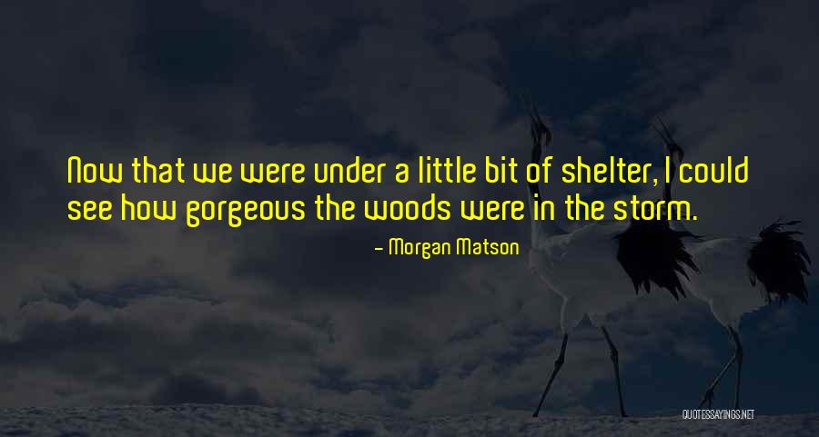 Ntakirutimana Appeals Quotes By Morgan Matson Ntakirutimana Appeals Quotes By Morgan Matson