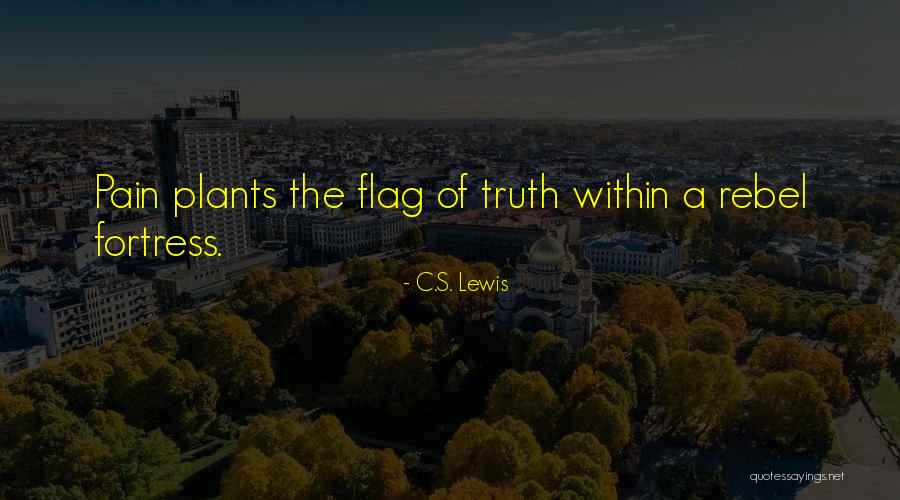 Nuances De Bleu Quotes By C.S. Lewis Nuances De Bleu Quotes By C.S. Lewis