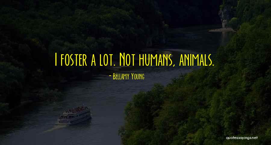 Nubbins Sawyer Quotes By Bellamy Young