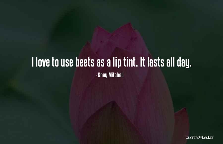 Nubila Latin Quotes By Shay Mitchell Nubila Latin Quotes By Shay Mitchell