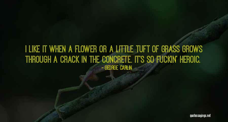 Nucera Usonic Quotes By George Carlin Nucera Usonic Quotes By George Carlin