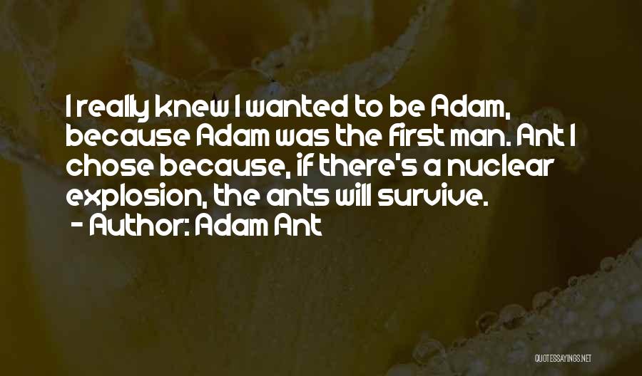 Nuclear Explosion Quotes By Adam Ant