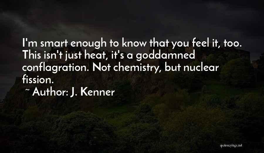 Nuclear Fission Quotes By J. Kenner