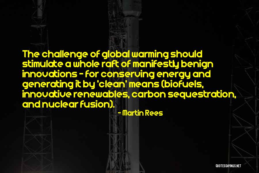 Nuclear Fusion Quotes By Martin Rees