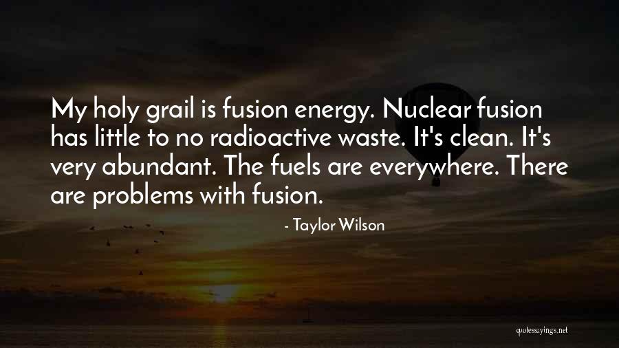 Nuclear Fusion Quotes By Taylor Wilson