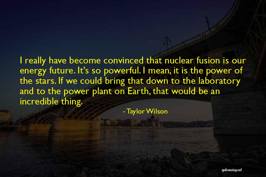 Nuclear Fusion Quotes By Taylor Wilson