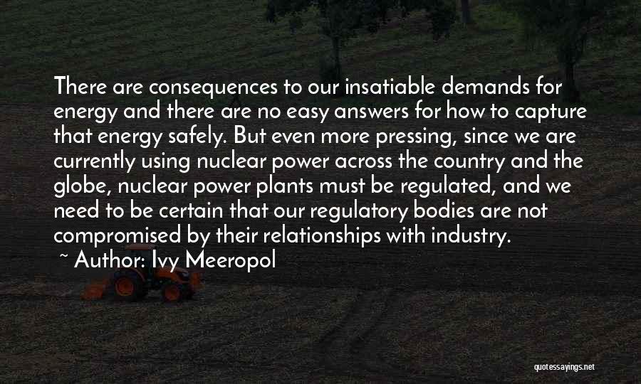 Nuclear Power Plants Quotes By Ivy Meeropol