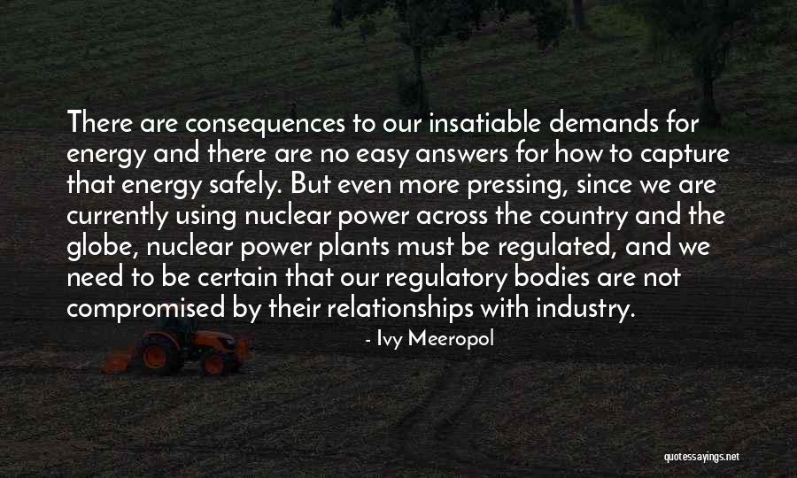 Nuclear Power Plants Quotes By Ivy Meeropol