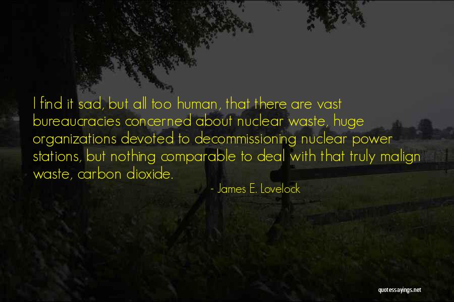 Nuclear Power Quotes By James E. Lovelock Nuclear Power Quotes By James E. Lovelock