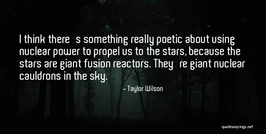 Nuclear Power Quotes By Taylor Wilson Nuclear Power Quotes By Taylor Wilson