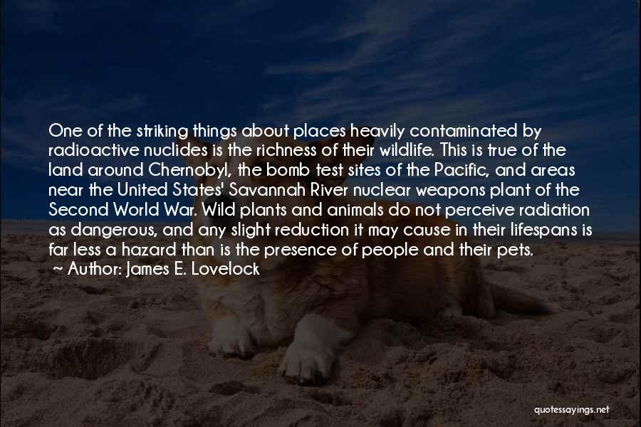 Nuclear War Dangerous Quotes By James E. Lovelock