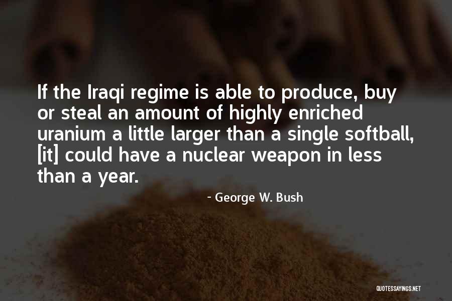 Nuclear Weapon Quotes By George W. Bush