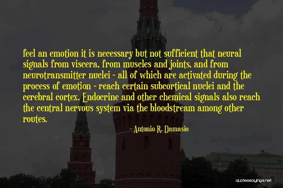 Nuclei Quotes By Antonio R. Damasio Nuclei Quotes By Antonio R. Damasio