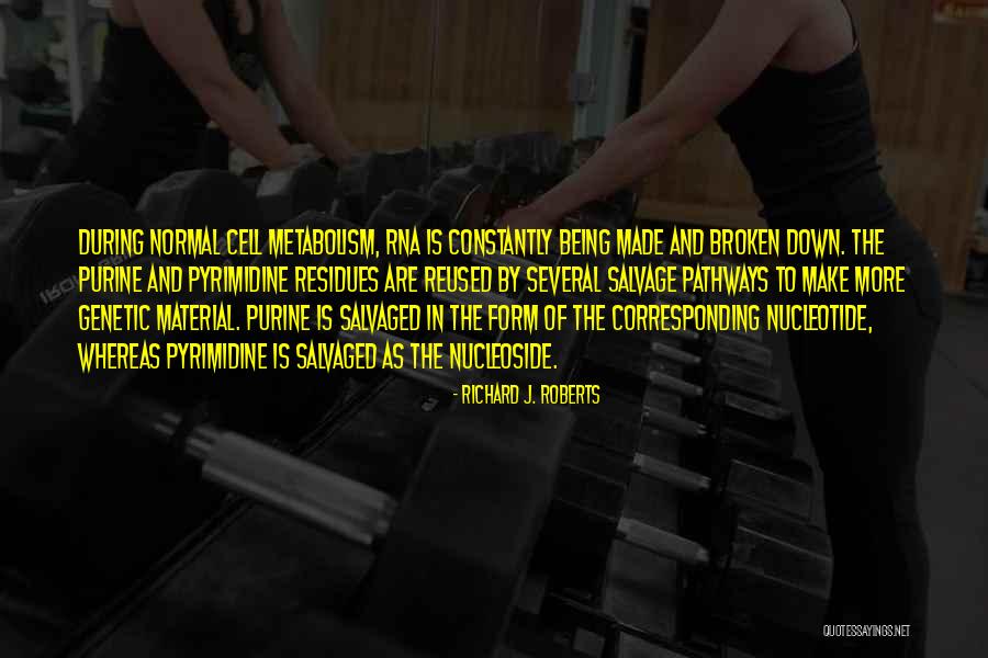 Nucleotide Quotes By Richard J. Roberts Nucleotide Quotes By Richard J. Roberts