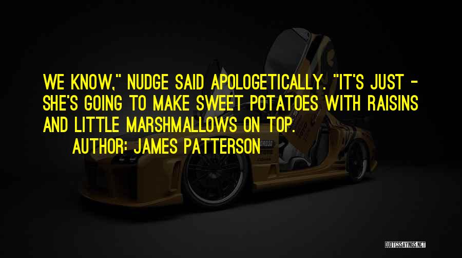 Nudge Quotes By James Patterson