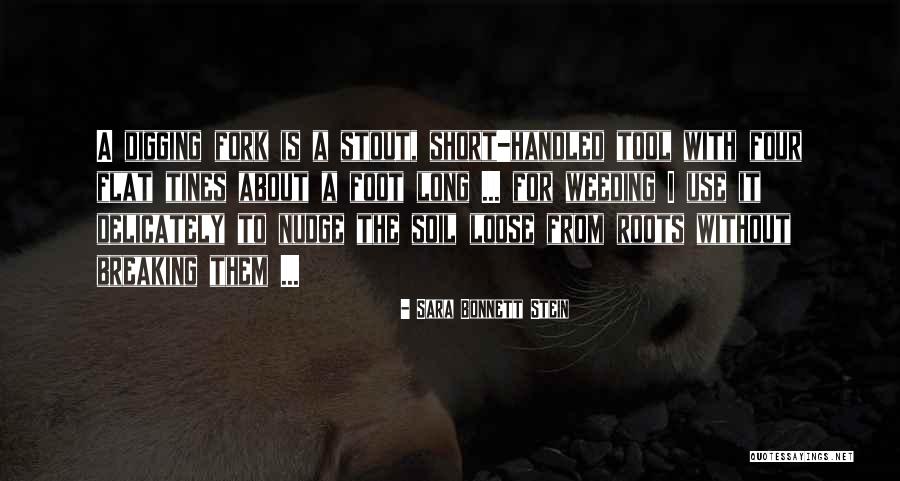 Nudge Quotes By Sara Bonnett Stein Nudge Quotes By Sara Bonnett Stein