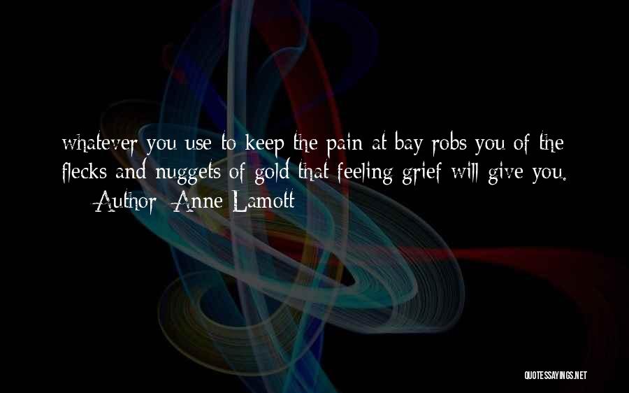 Nuggets Quotes By Anne Lamott