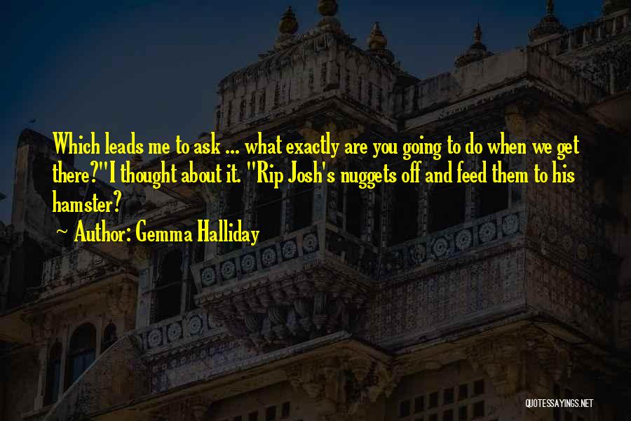 Nuggets Quotes By Gemma Halliday