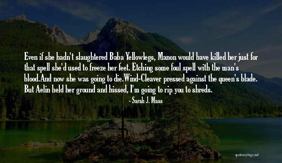 Nuisibles Des Quotes By Sarah J. Maas Nuisibles Des Quotes By Sarah J. Maas