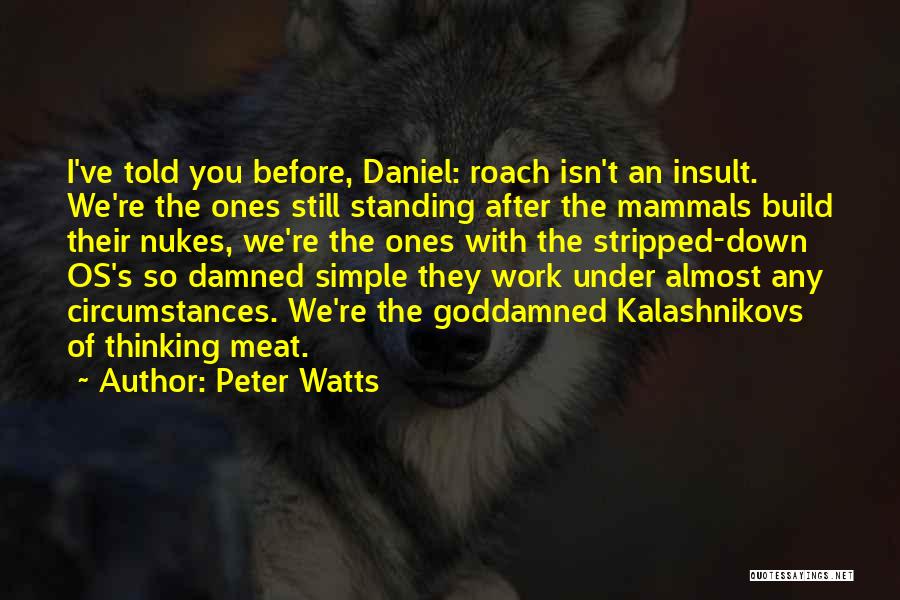Nukes Quotes By Peter Watts