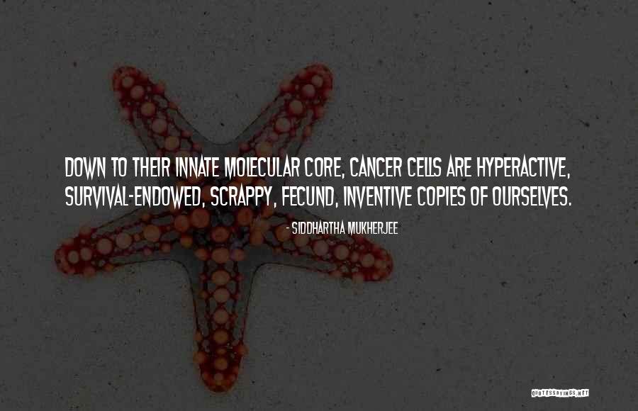 Nullarbor Plain Quotes By Siddhartha Mukherjee Nullarbor Plain Quotes By Siddhartha Mukherjee