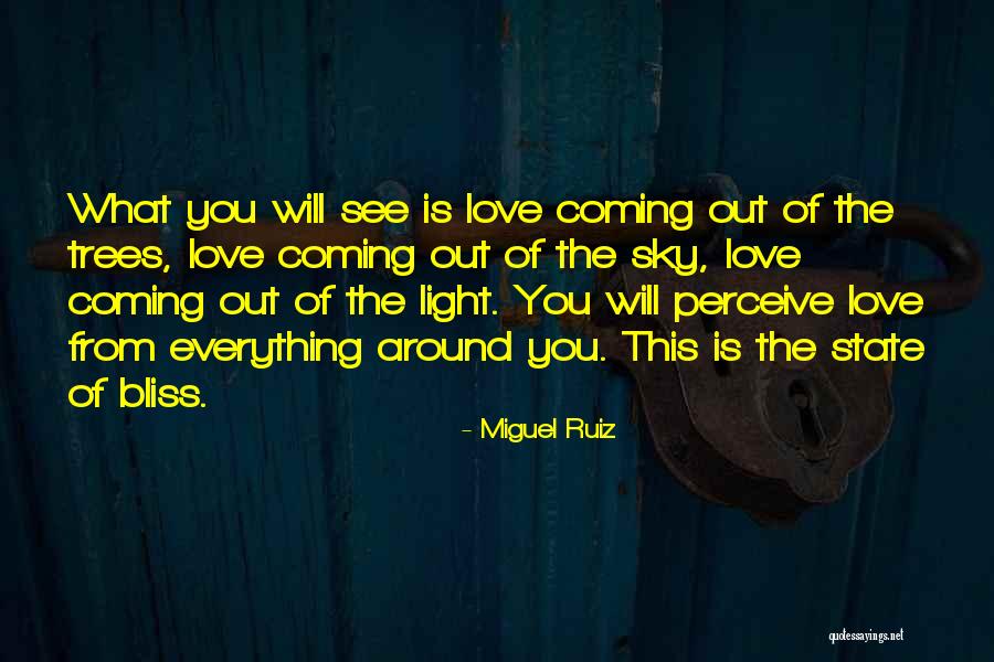 Nullified Worlds Quotes By Miguel Ruiz Nullified Worlds Quotes By Miguel Ruiz