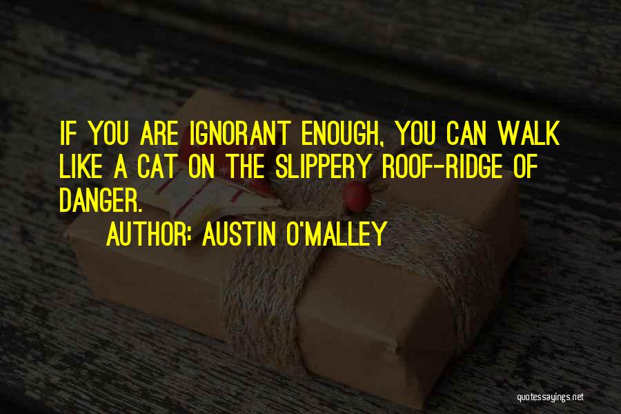 Nulosa Quotes By Austin O'Malley