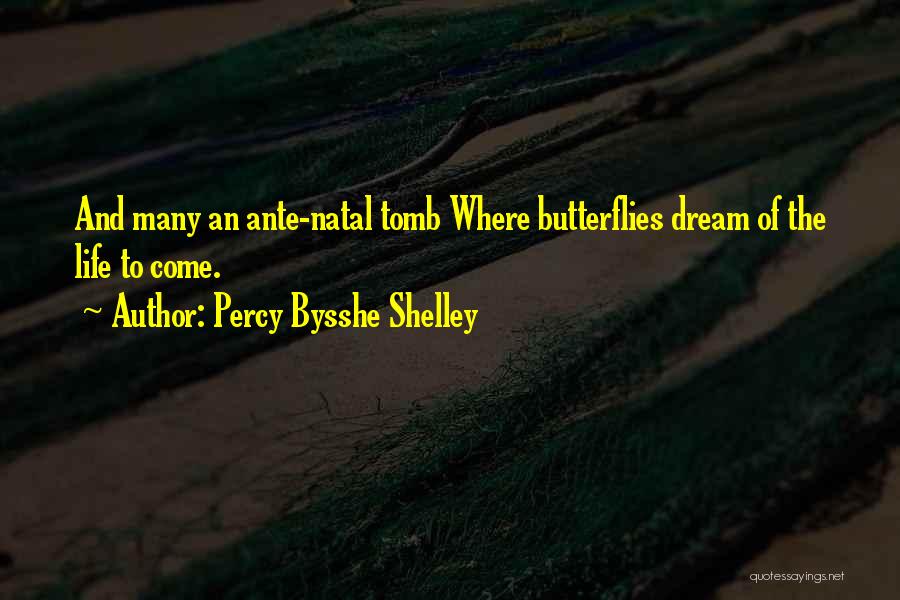 Numb3rs Cause And Effect Quotes By Percy Bysshe Shelley