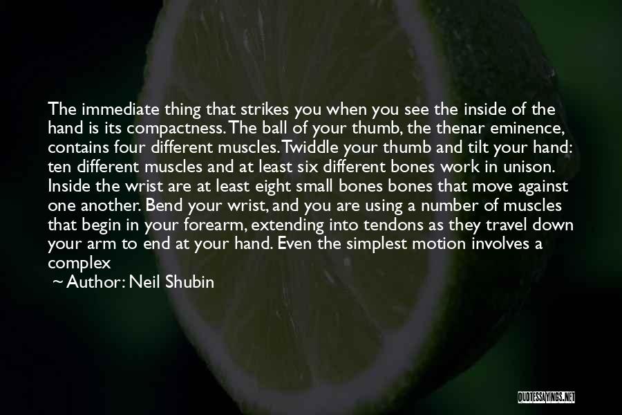 Number Four Quotes By Neil Shubin