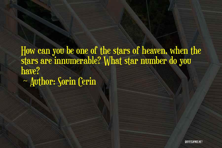 Number Of Stars Quotes By Sorin Cerin