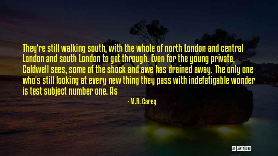 Number Only Quotes By M.R. Carey Number Only Quotes By M.R. Carey