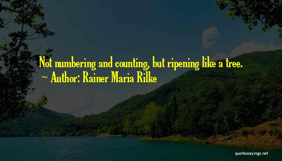 Numbering Quotes By Rainer Maria Rilke