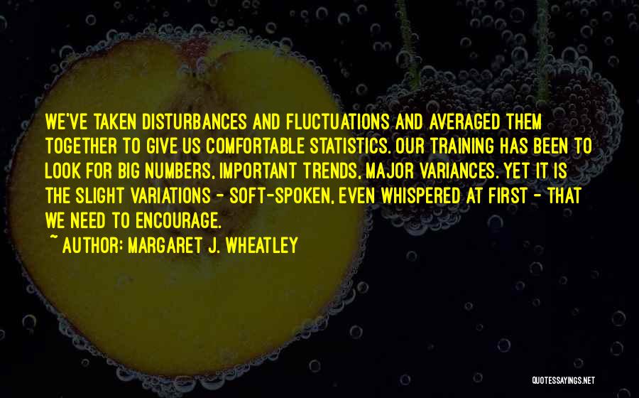 Numbers Statistics Quotes By Margaret J. Wheatley