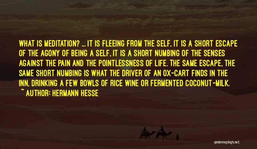 Numbing The Pain Quotes By Hermann Hesse