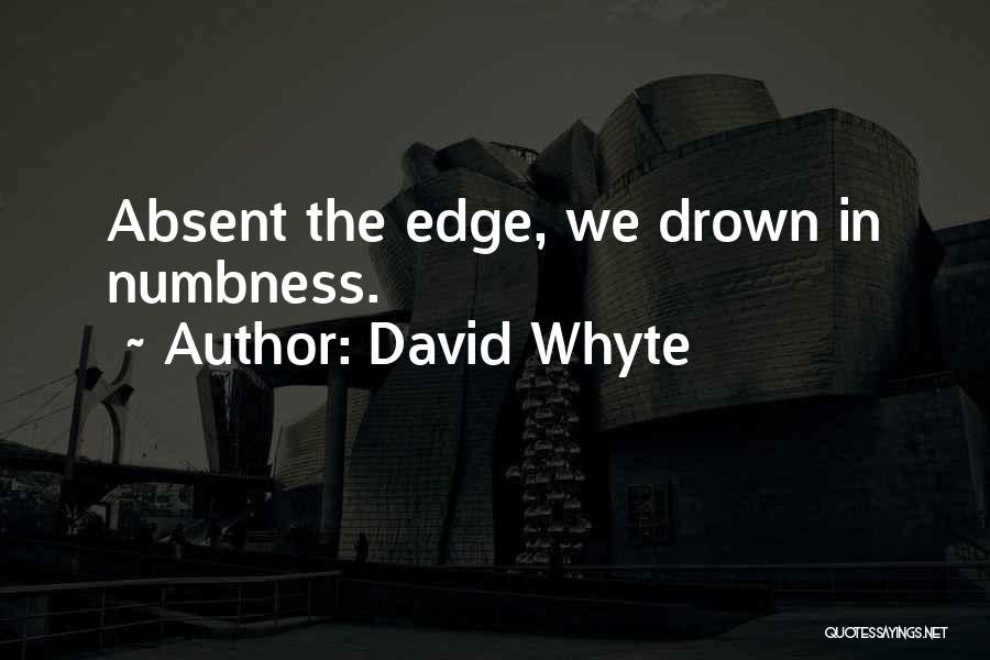 Numbness Quotes By David Whyte