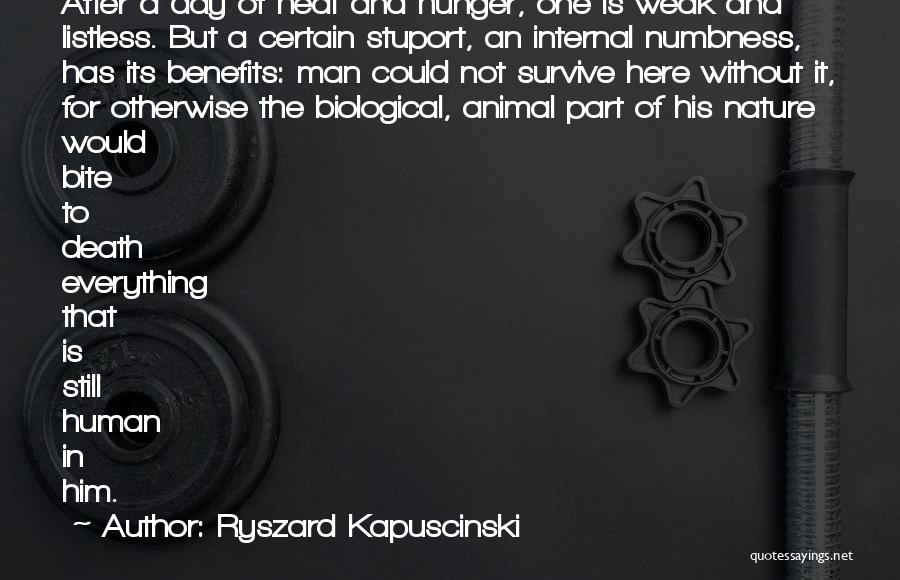 Numbness Quotes By Ryszard Kapuscinski