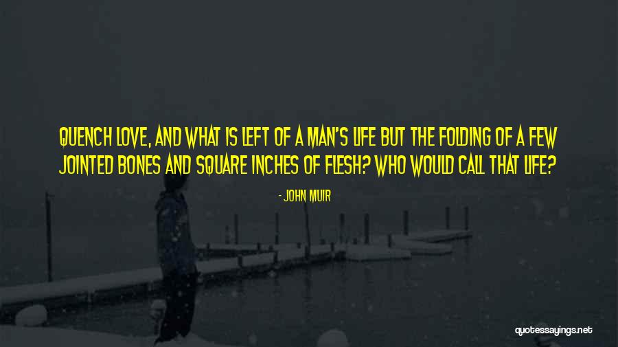 Numero 1 Quotes By John Muir Numero 1 Quotes By John Muir