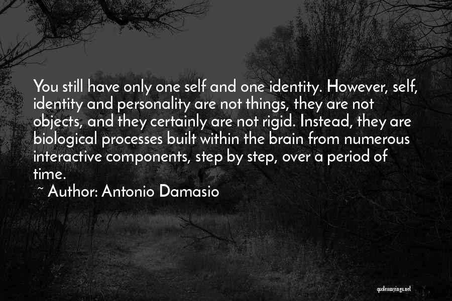 Numerous Quotes By Antonio Damasio