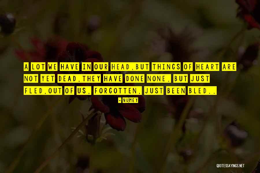 Numey Quotes 702160 Numey Quotes 702160
