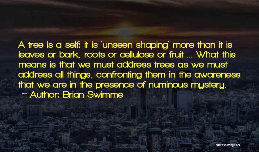 Numinous Quotes By Brian Swimme