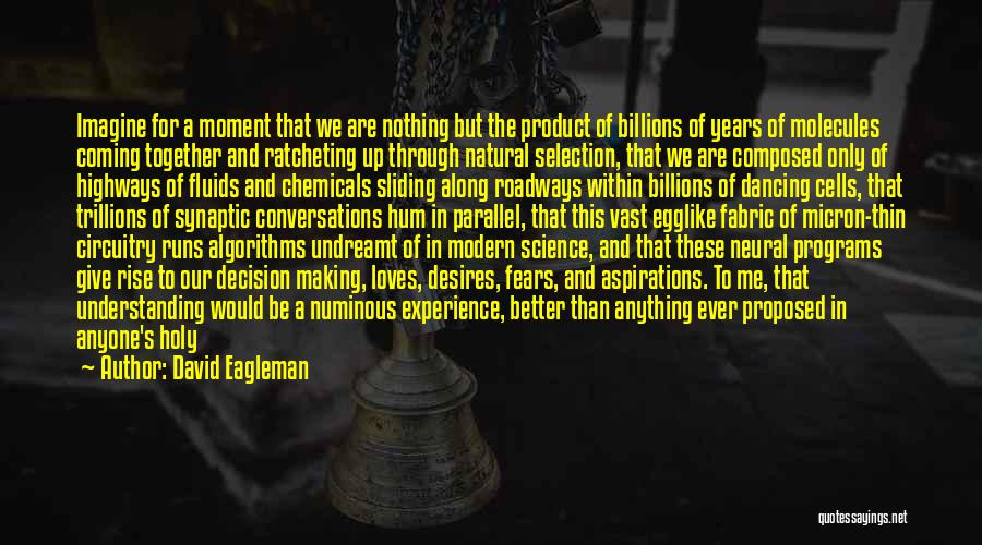 Numinous Quotes By David Eagleman