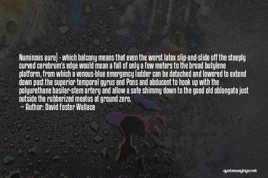 Numinous Quotes By David Foster Wallace