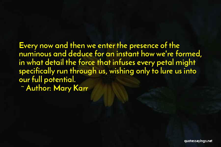 Numinous Quotes By Mary Karr