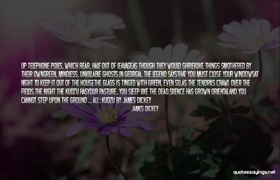 Nummerplaat Quotes By James Dickey Nummerplaat Quotes By James Dickey