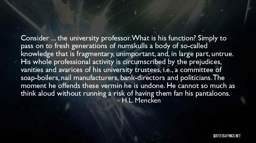 Numskulls Quotes By H.L. Mencken Numskulls Quotes By H.L. Mencken